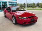 Thumbnail Photo 4 for 1999 Ford Mustang Cobra Coupe